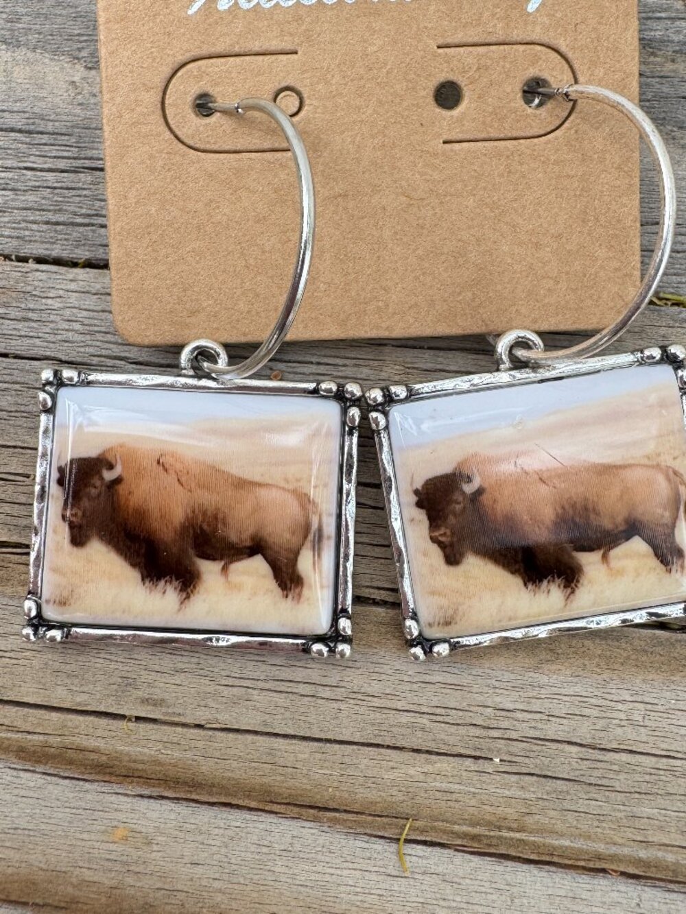 Bison Buffalo Hoop Earrings Western Soldered Frame Boho Statement NWT